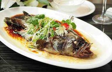 青斑魚和老虎斑哪個營養價值更高?